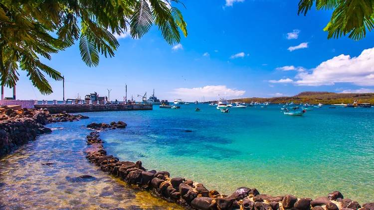 Las Islas Galápagos tienen mucha valoración internacional que ayuda a su conservación, siendo considerado Patrimonio Natural de la Humanidad